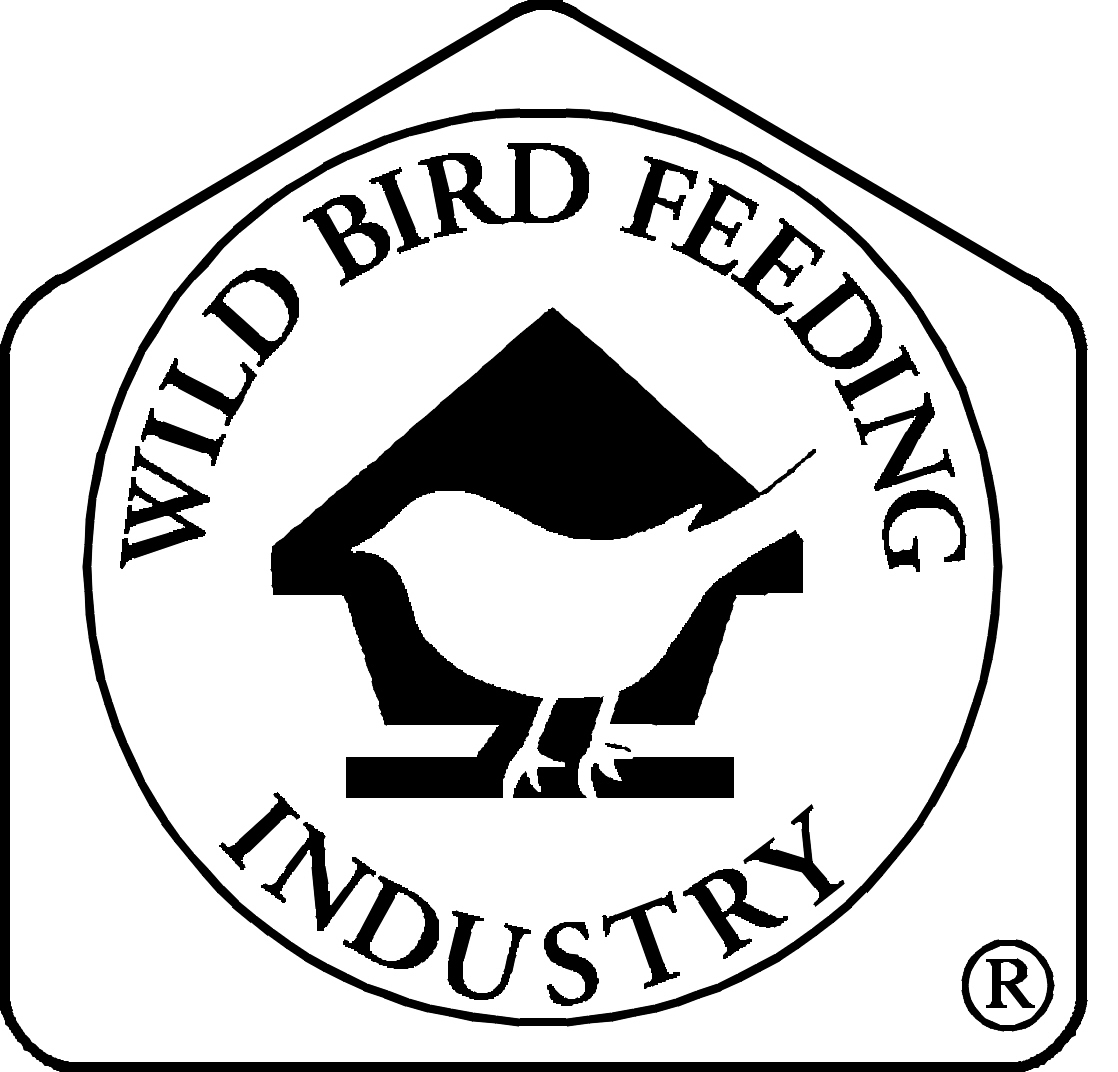 logo format